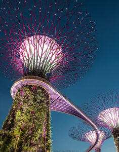 Gardens by the Bay photo | Translated Right