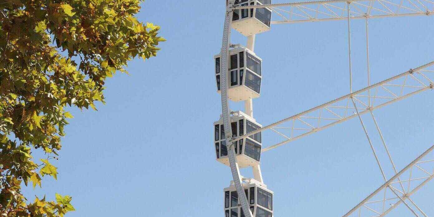 Effortless Video Translation