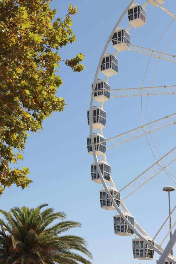 Effortless Video Translation